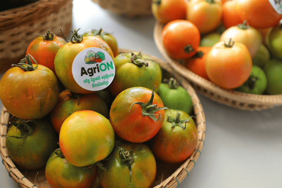 agrion10